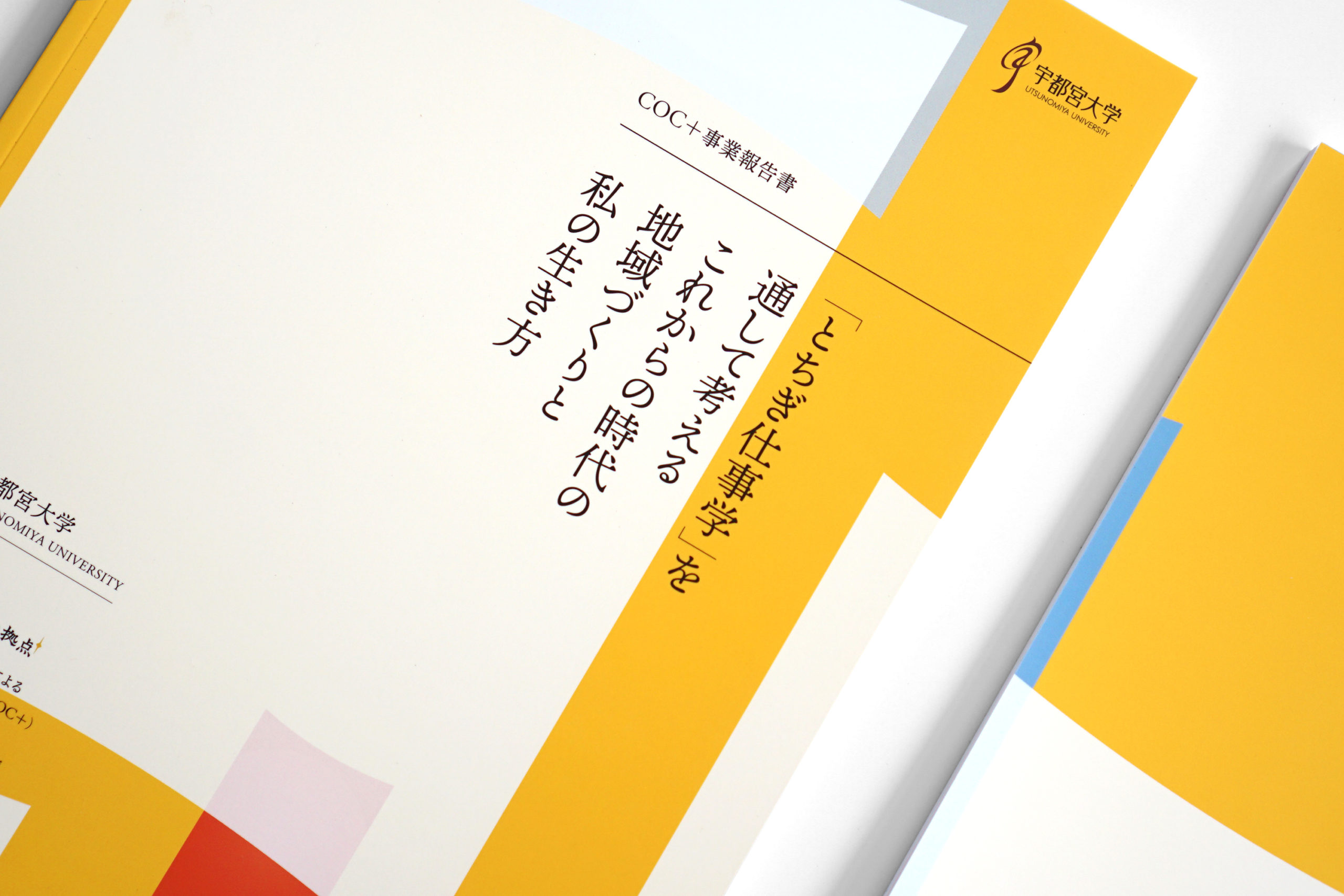 宇都宮大学COC+事業報告書「とちぎ仕事学」を通して考えるこれからの時代の地域づくりと私の生き方 ブックデザイン