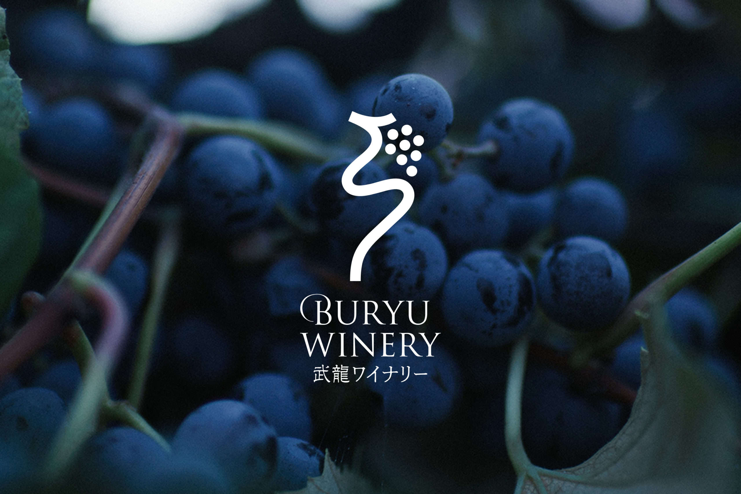 常陸コミュニティデザイン株式会社 武龍ワイナリー BURYU WINERY ブランドロゴマークデザイン